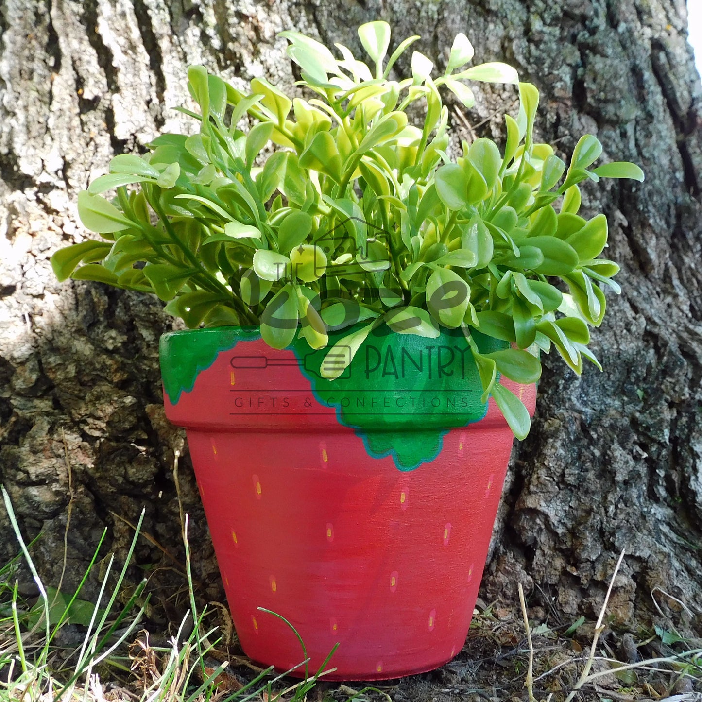 4 in Strawberry Pot