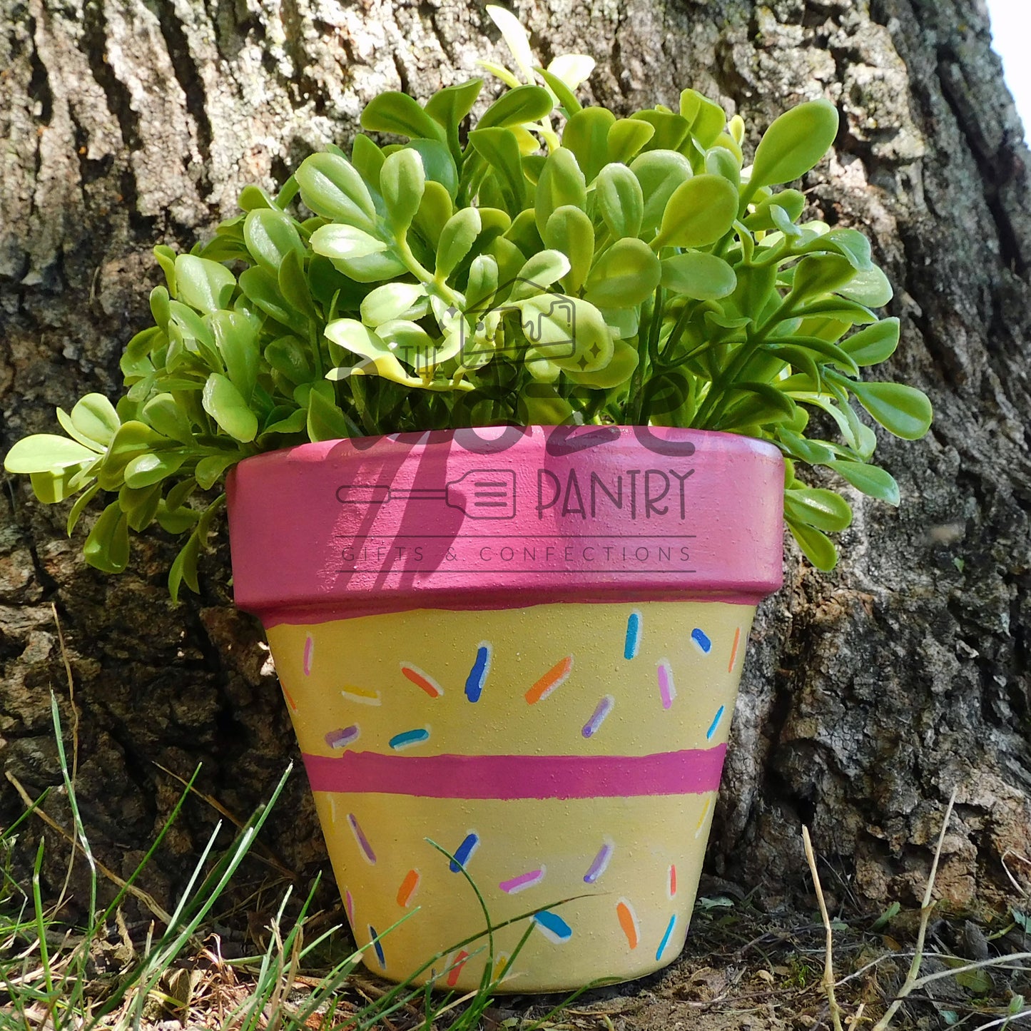 4 in Birthday Cake Pot