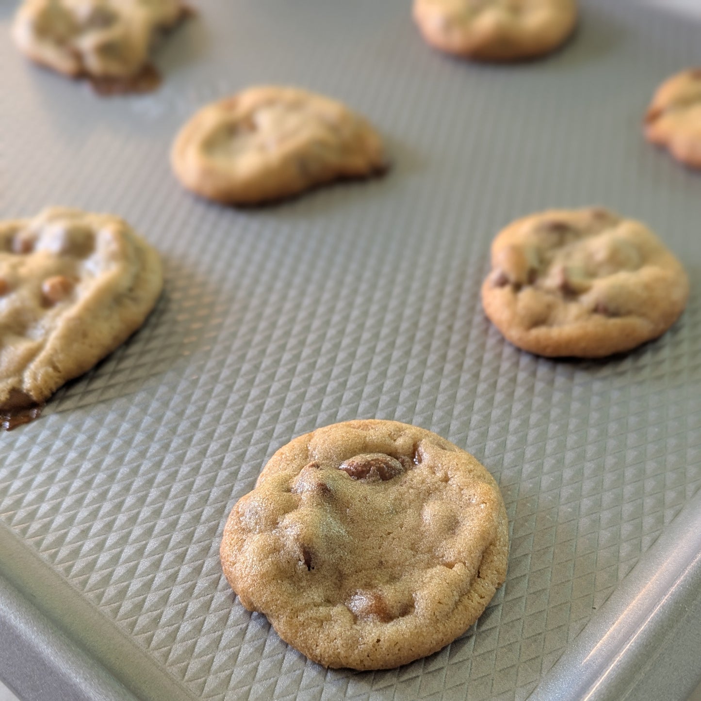 Mini Cookie Pack