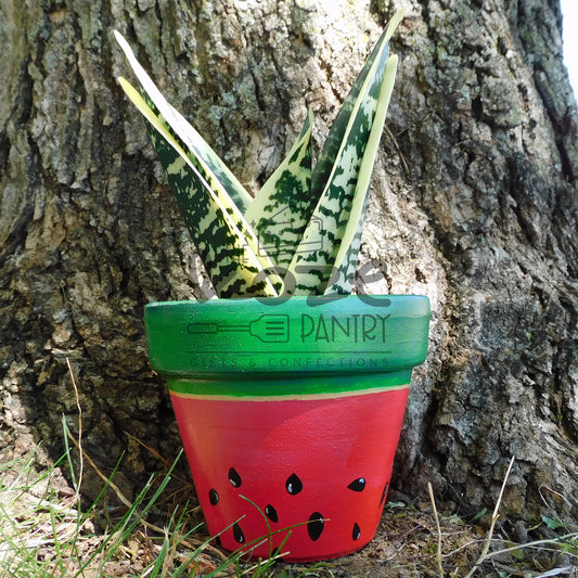 4 in Watermelon Pot