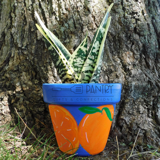 4 in Orange Pot